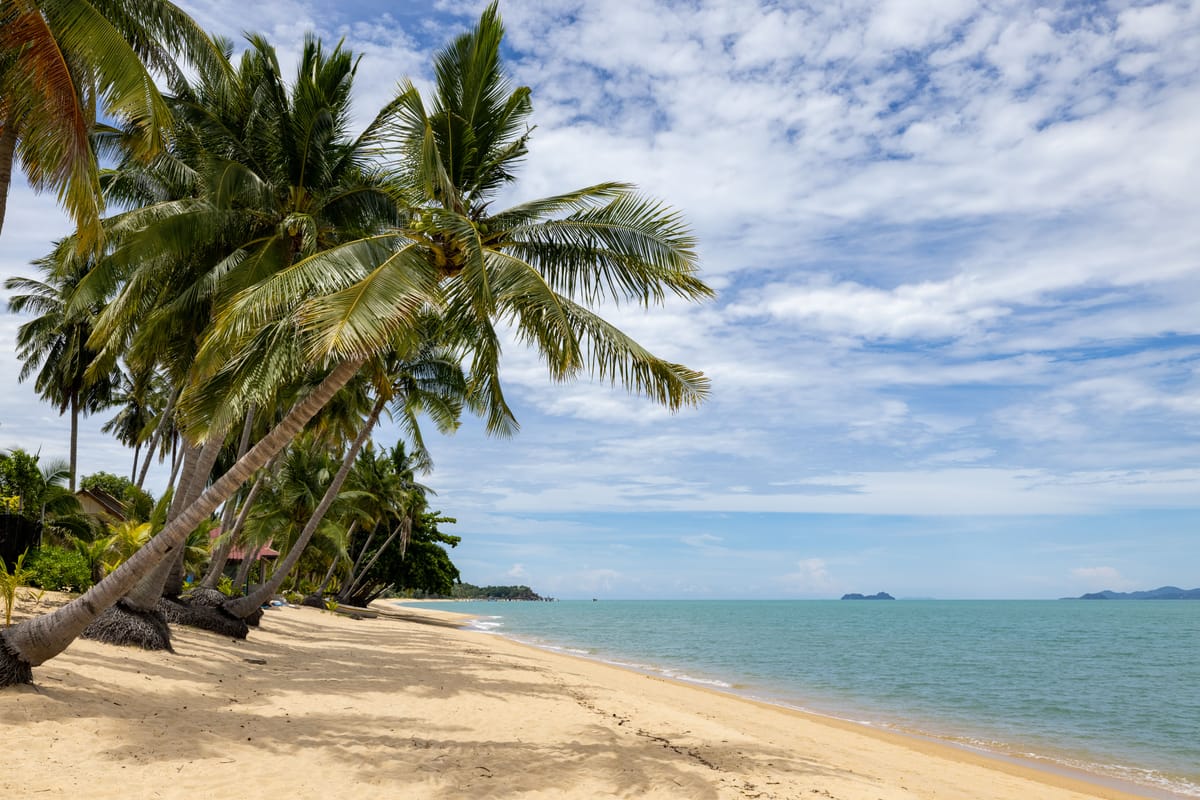 Palmeras tropicales inclinadas sobre una playa de arena tranquila con mar azul en calma en Hainan