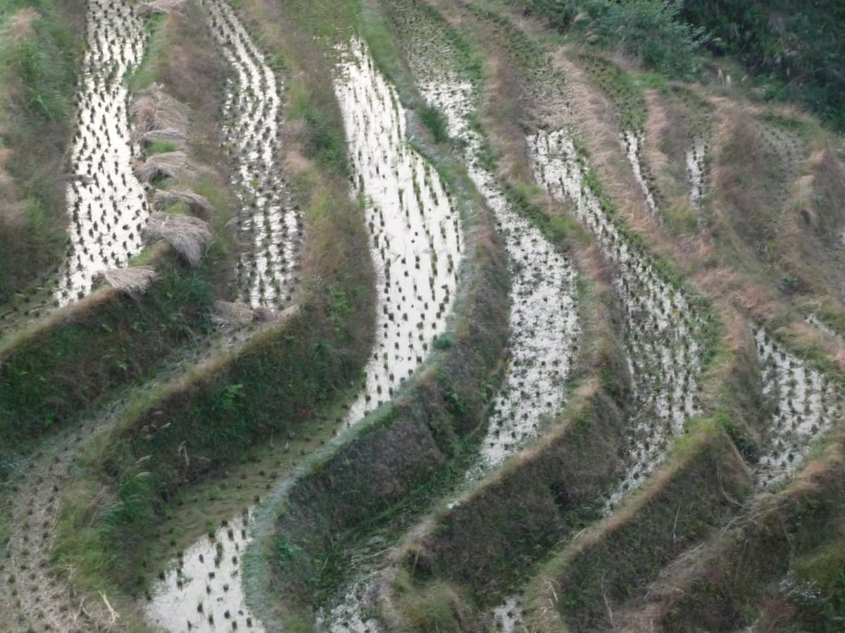 Longji rice terraces carved into the mountainsides near Longsheng, north of Guilin