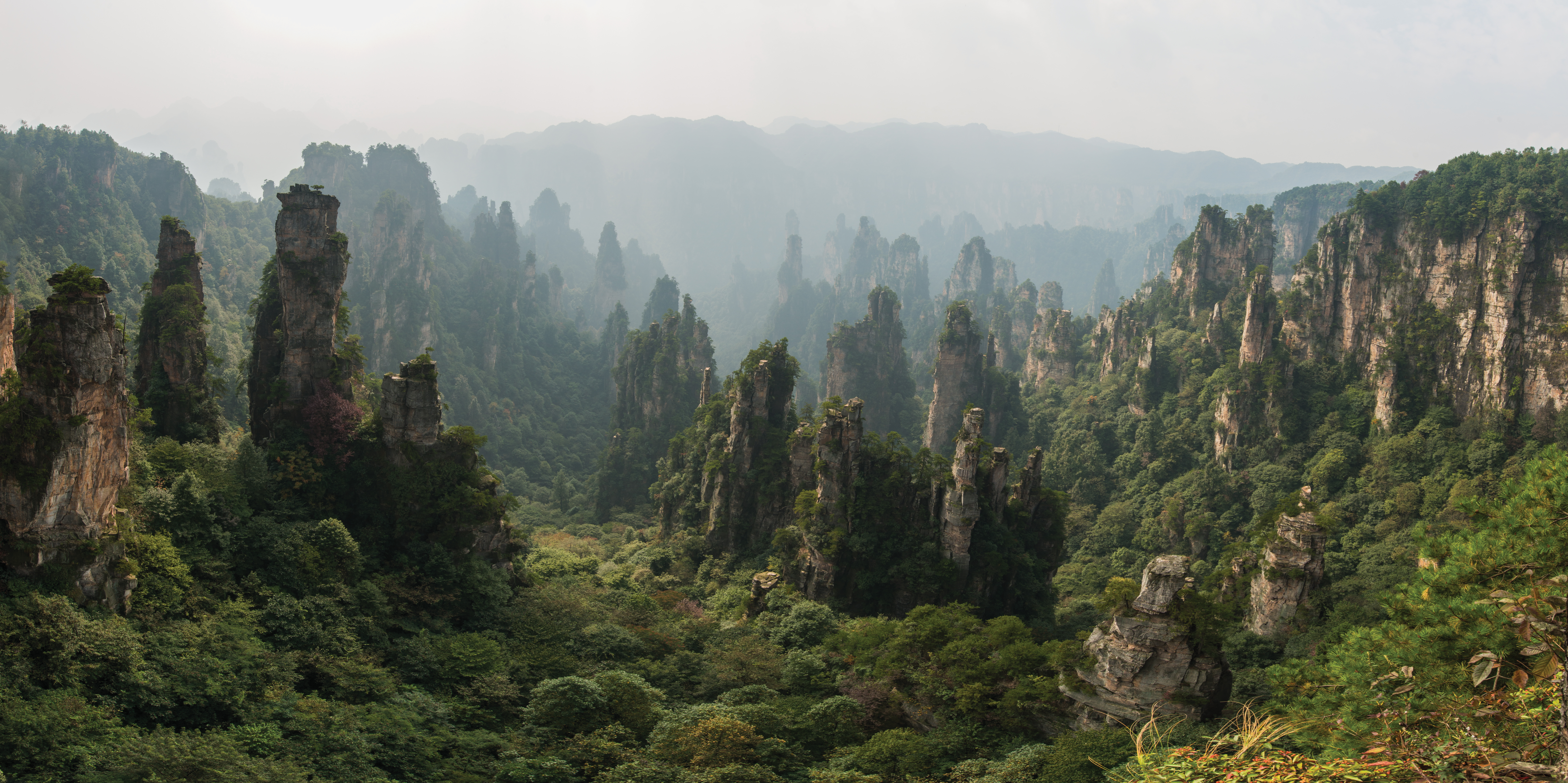 Pilares de arenisca de la Montaña Tianzi en Zhangjiajie