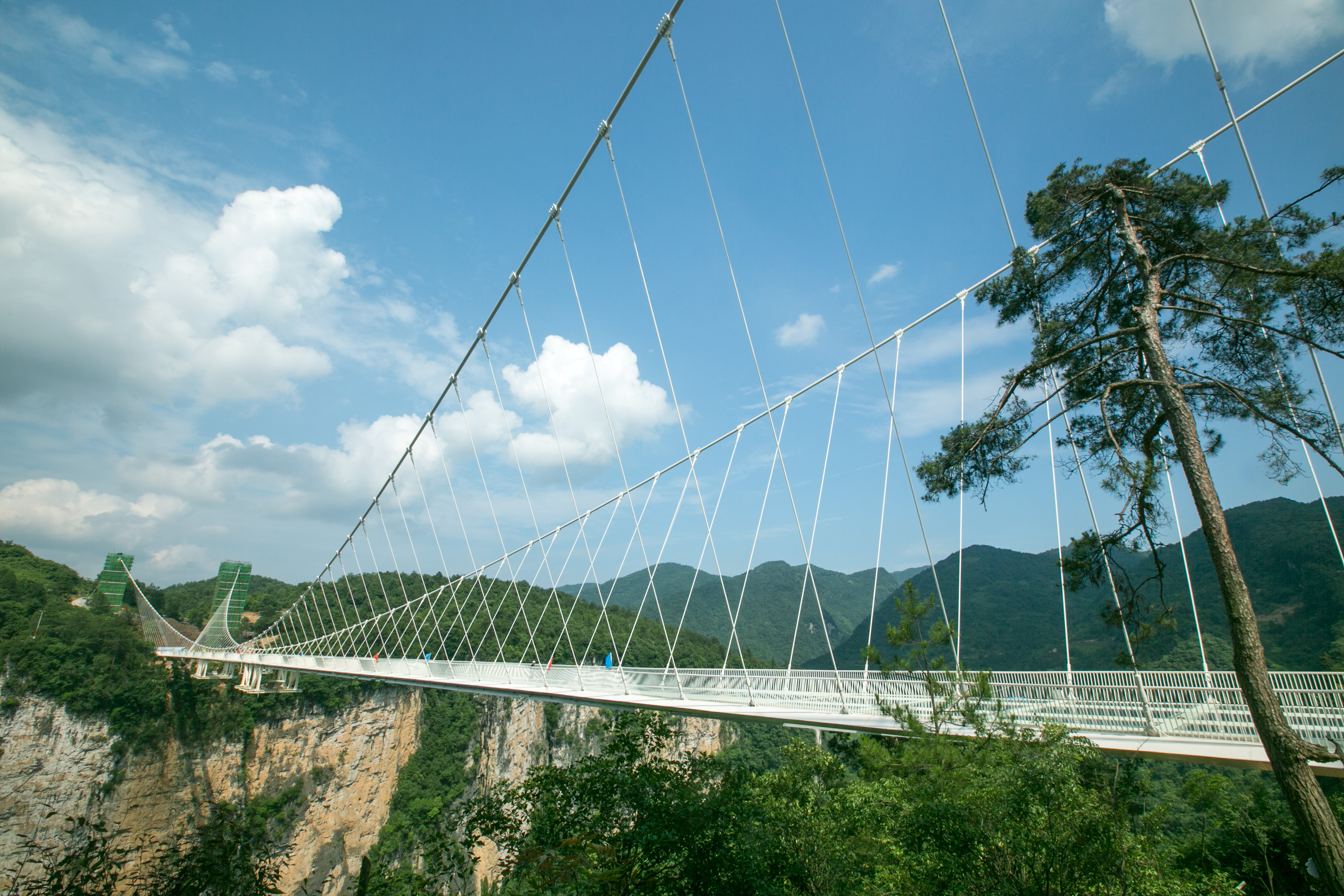 El puente de cristal sobre el Gran Cañón de Zhangjiajie