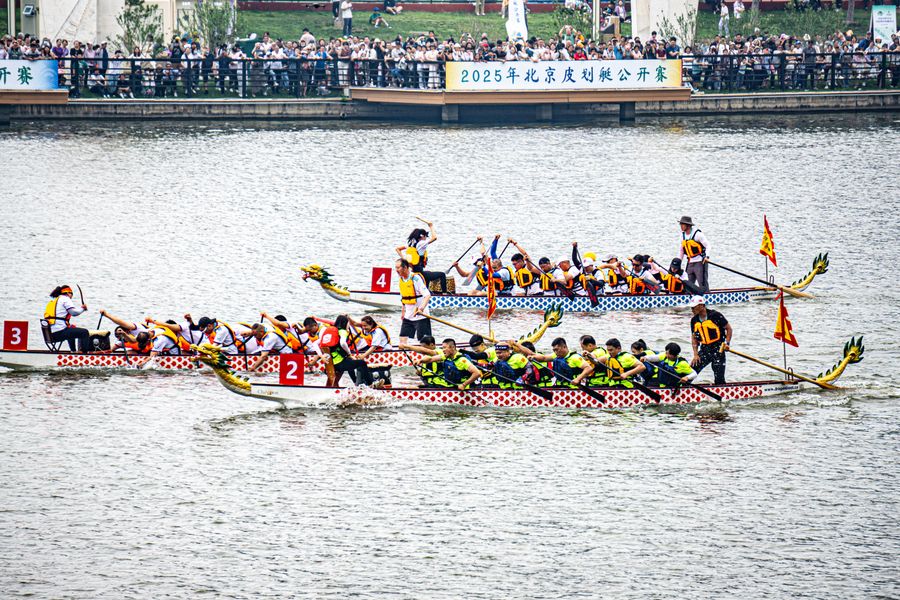 Una carrera de botes dragón, con equipos remando al ritmo de un tambor