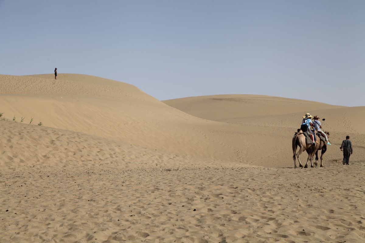 Una caravana de camellos cruzando las dunas a las afueras de Dunhuang