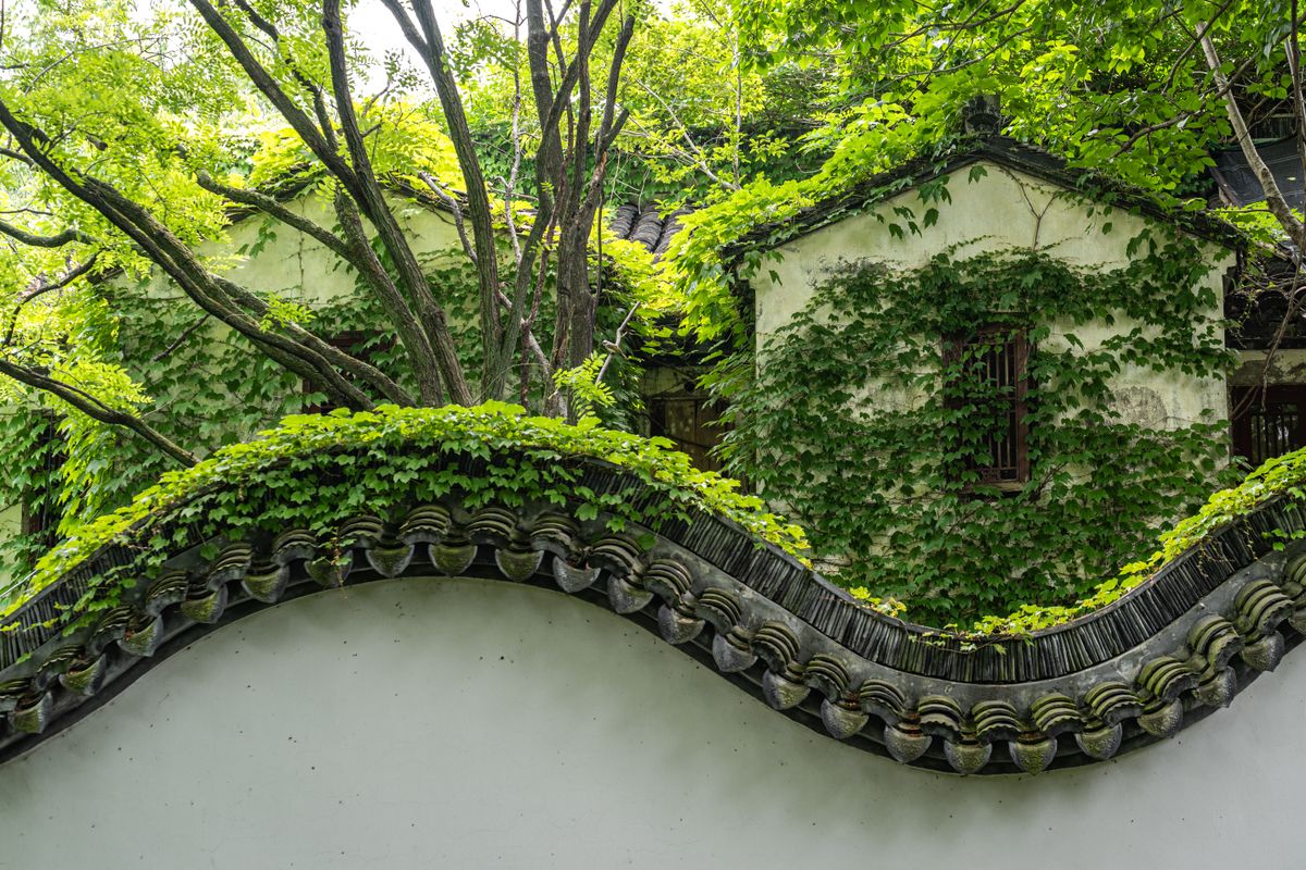 Un muro ondulante de tejas cubierto de vegetación en el Jardín Yu