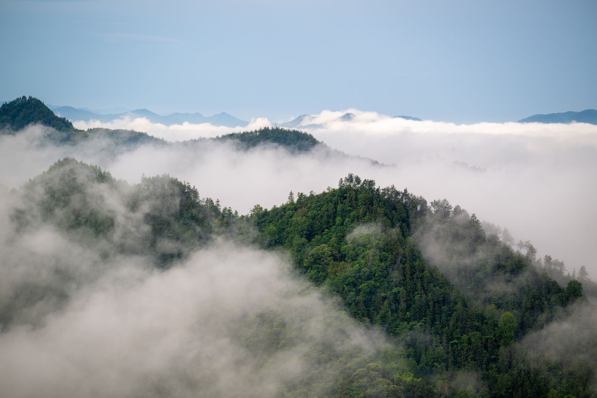Montañas verdes con niebla y mar de nubes en Qiyun