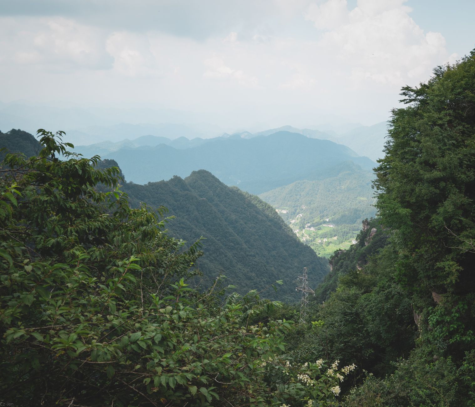 Lush green peaks rising above the forested valley of Zhangjiajie