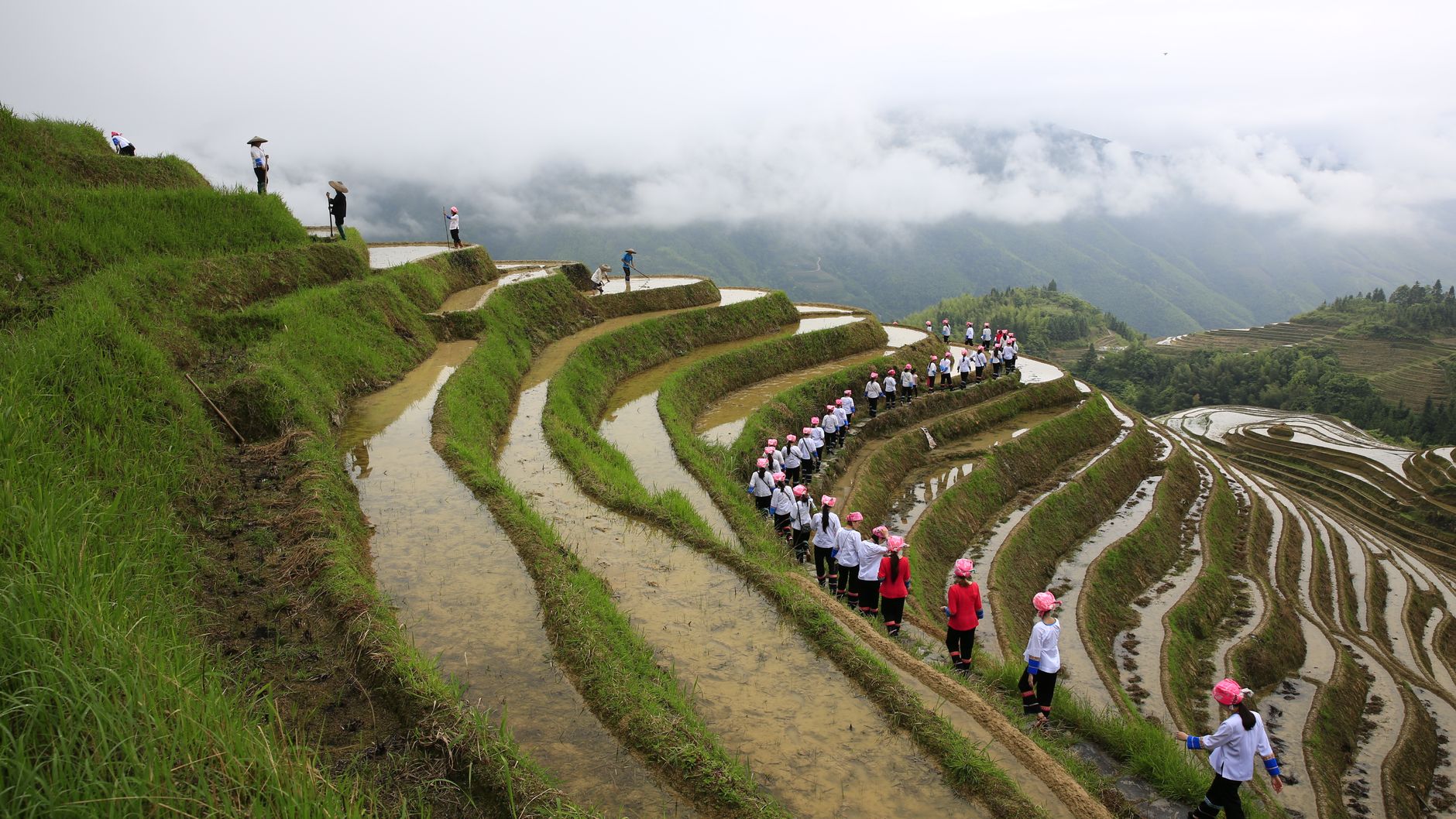 Mujeres yao rojas caminando por las terrazas curvas de Longji