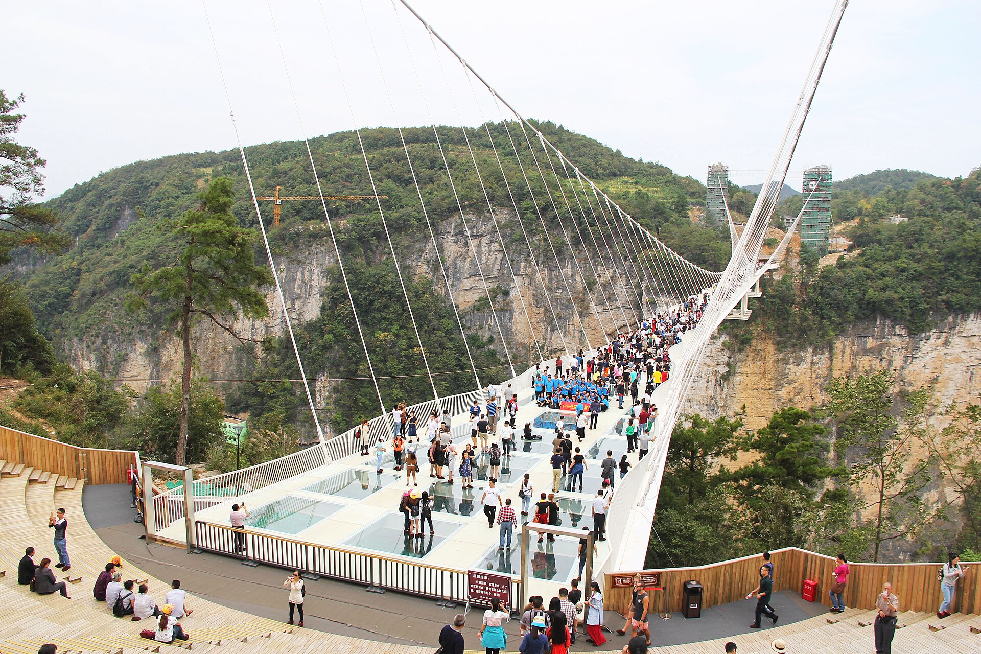 The glass bridge spanning the forested Zhangjiajie Grand Canyon
