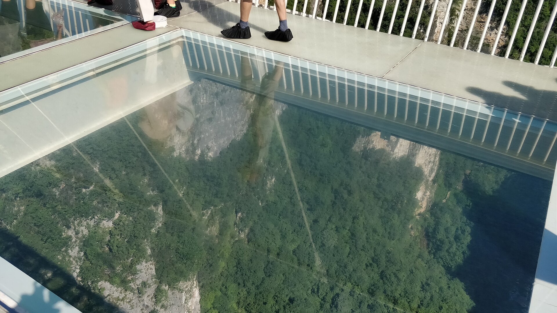 Glass deck and cables high above the gorge