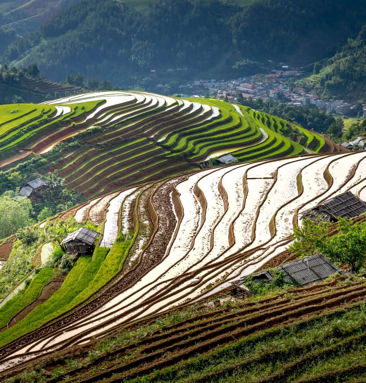 Longji Rice Terraces