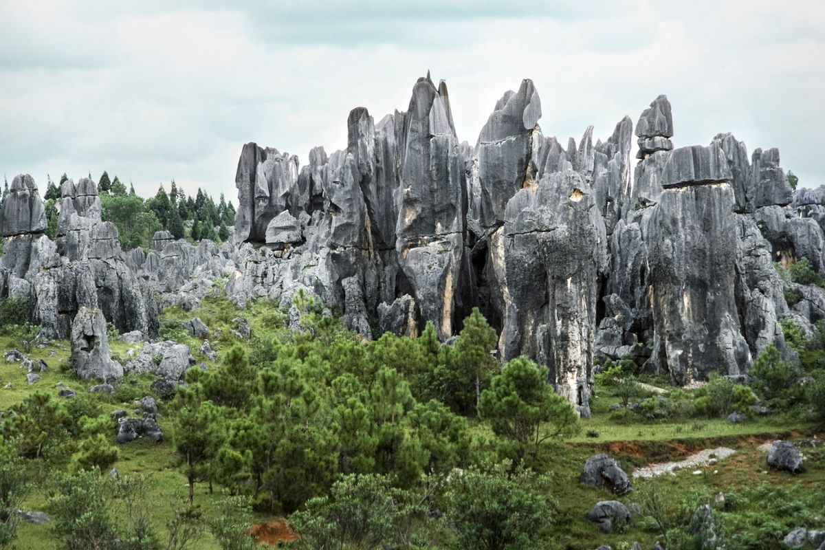 Pináculos calizos del Bosque de Piedra bajo un cielo azul