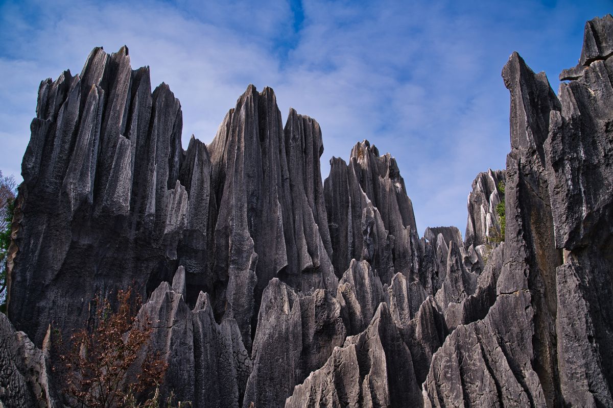 Formaciones del Bosque de Piedra con pinos verdes