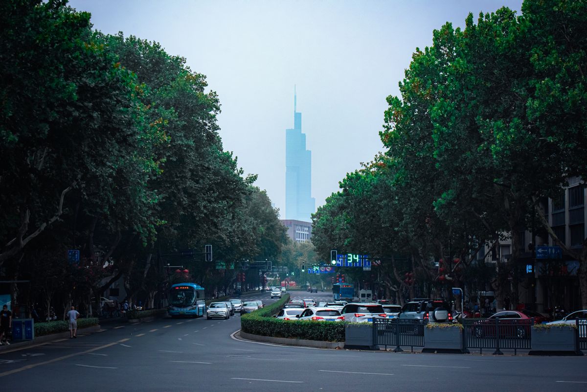 Tree-lined street in Xinjiekou with Nanjing's Zifeng Tower rising in the background