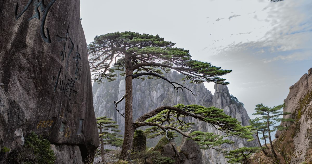 Where to Stay in Huangshan: Summit Hotel or Tangkou Town? (2026)