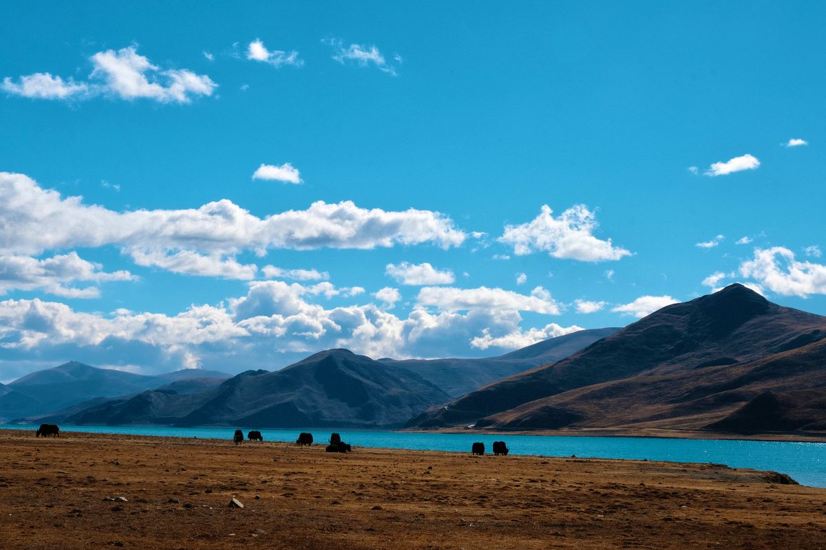 View from inside a train window looking out over railway tracks in Qinghai
