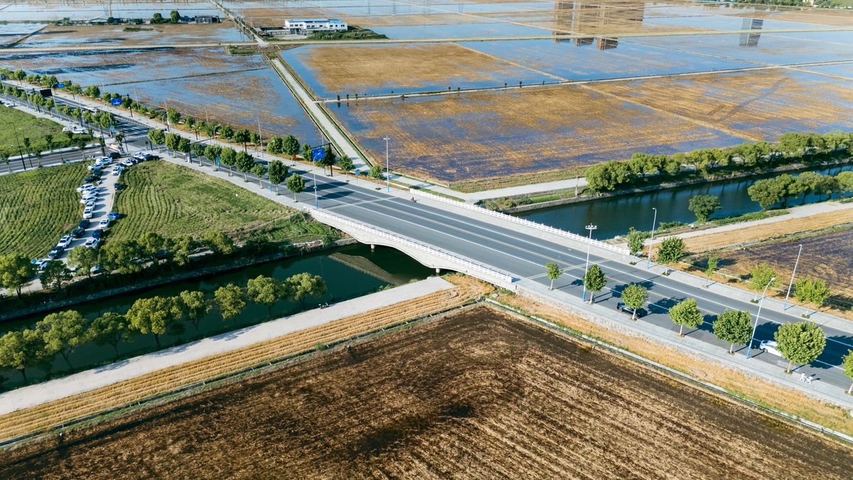 Vista aérea de campos de arroz y un puente en el campo de Hangzhou junto al corredor ferroviario