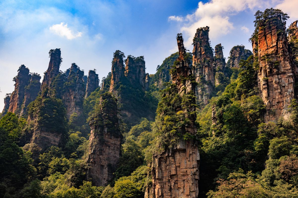 Zhangjiajie's sandstone pillars rising above the forest at Wulingyuan