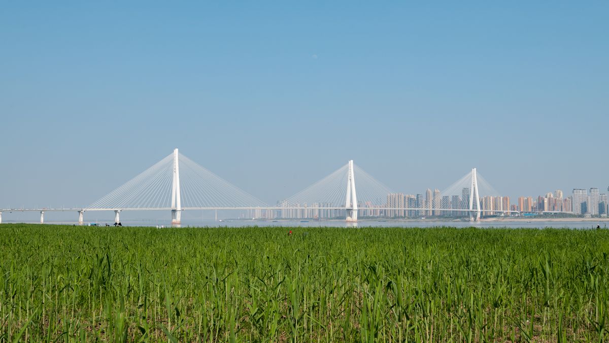 Modern cable-stayed bridge crossing a river with a city skyline in the background