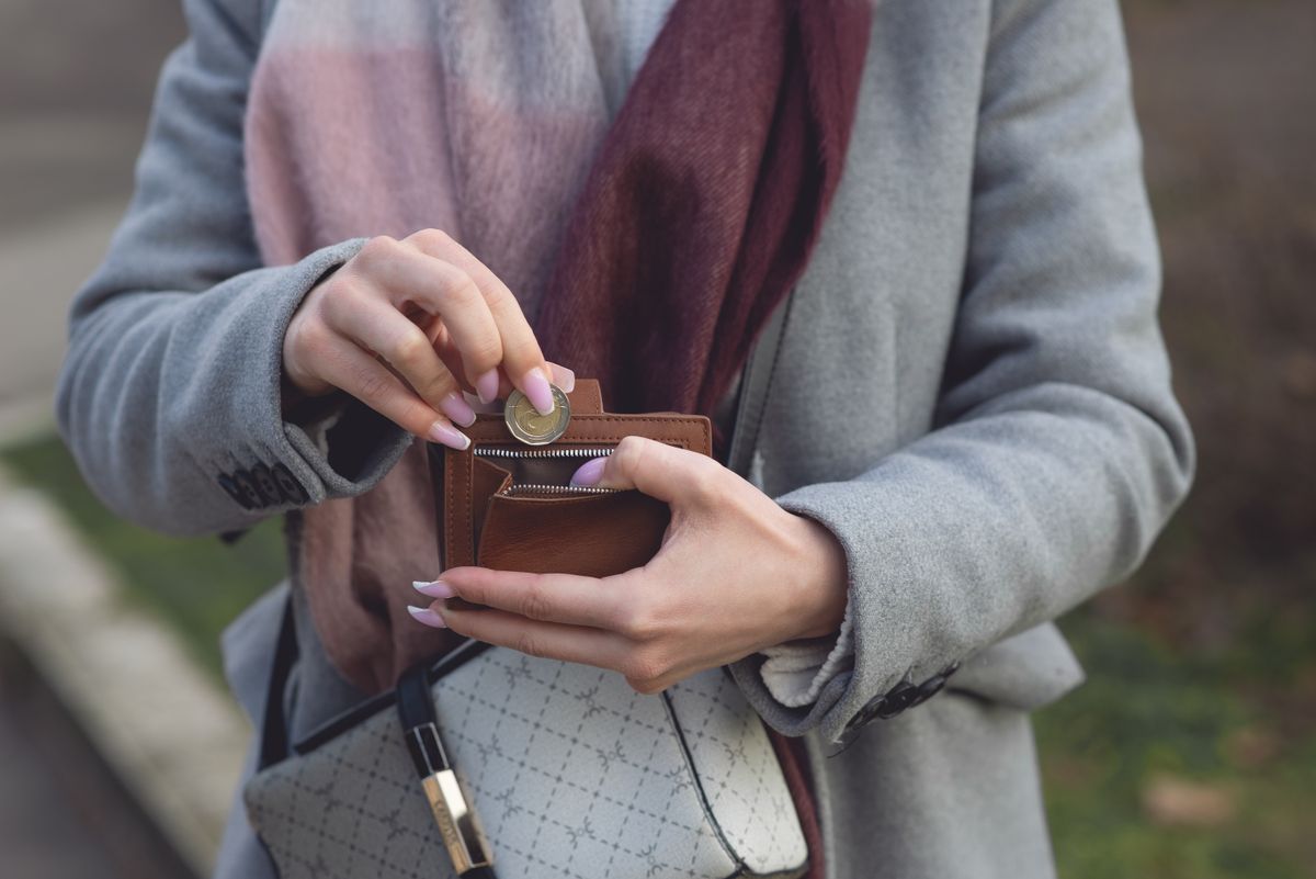 Wallet holding banknotes and coins