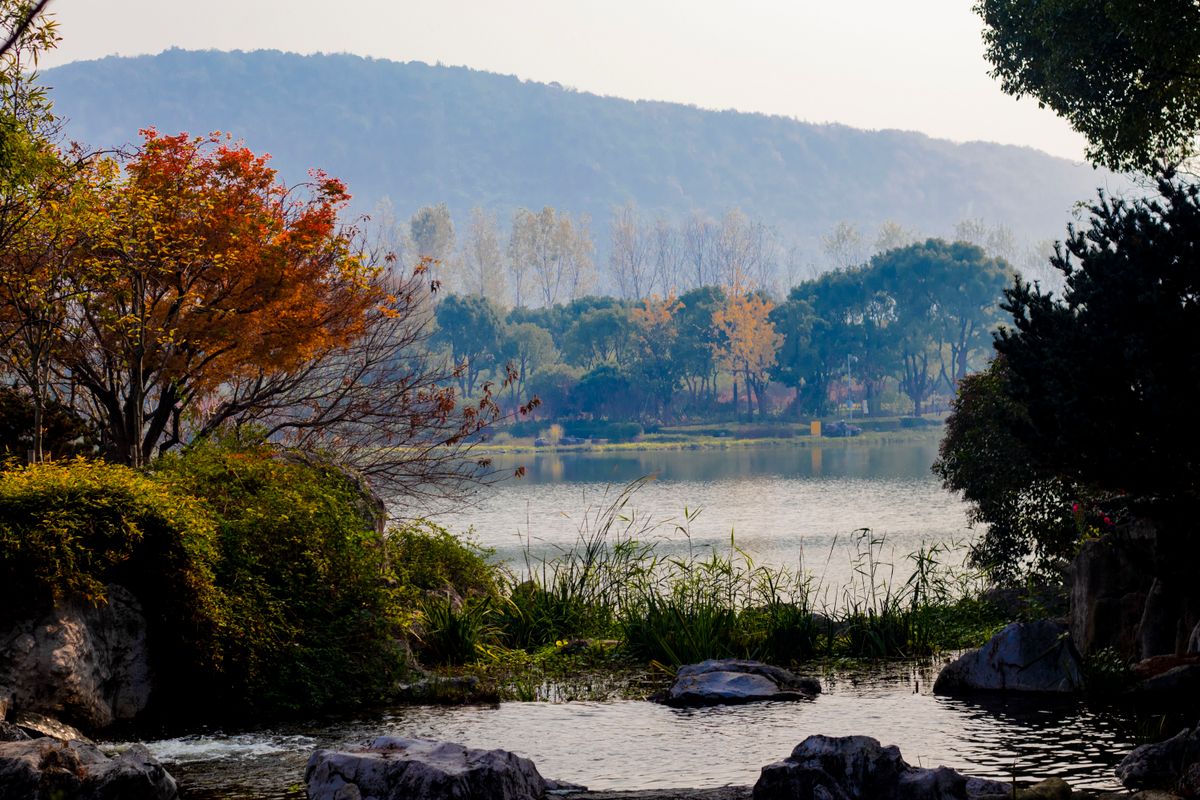Late-autumn lake and trees in eastern China