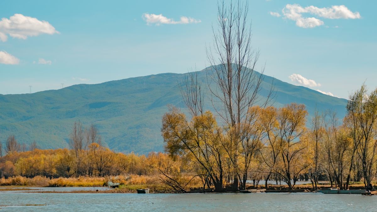 Autumn lakeshore near Dali, Yunnan