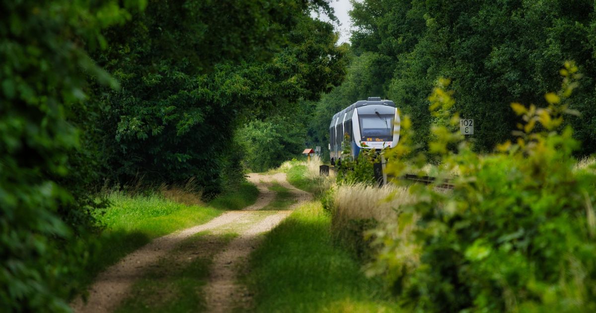China Tourist Trains 2026: Routes, Prices and How to Book on 12306
