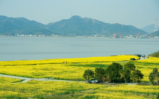 Hanzhong
