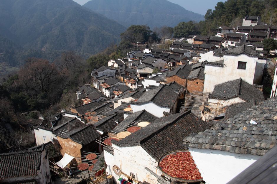 A picturesque view of traditional tiled rooftops in Wuyuan, Jiangxi, China, showcasing local architecture.