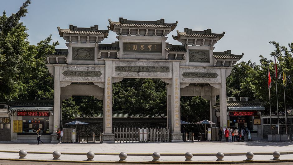 Shicheng Ancient Tree Grove, 2026 Visitor Notes
