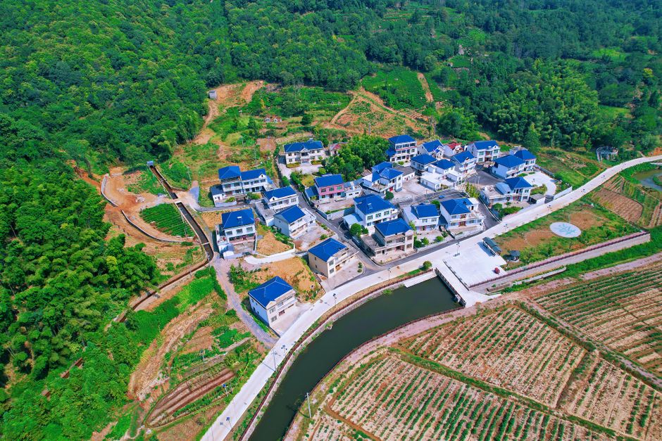 Wuyuan Huangling Scenic Area: Tickets, Shuttle and Capacity for 2026