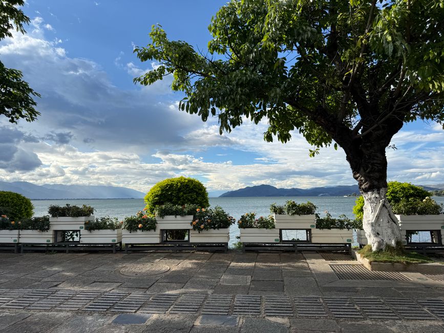 Beautiful lakeside promenade with benches and trees overlooking Erhai Lake, Dali.